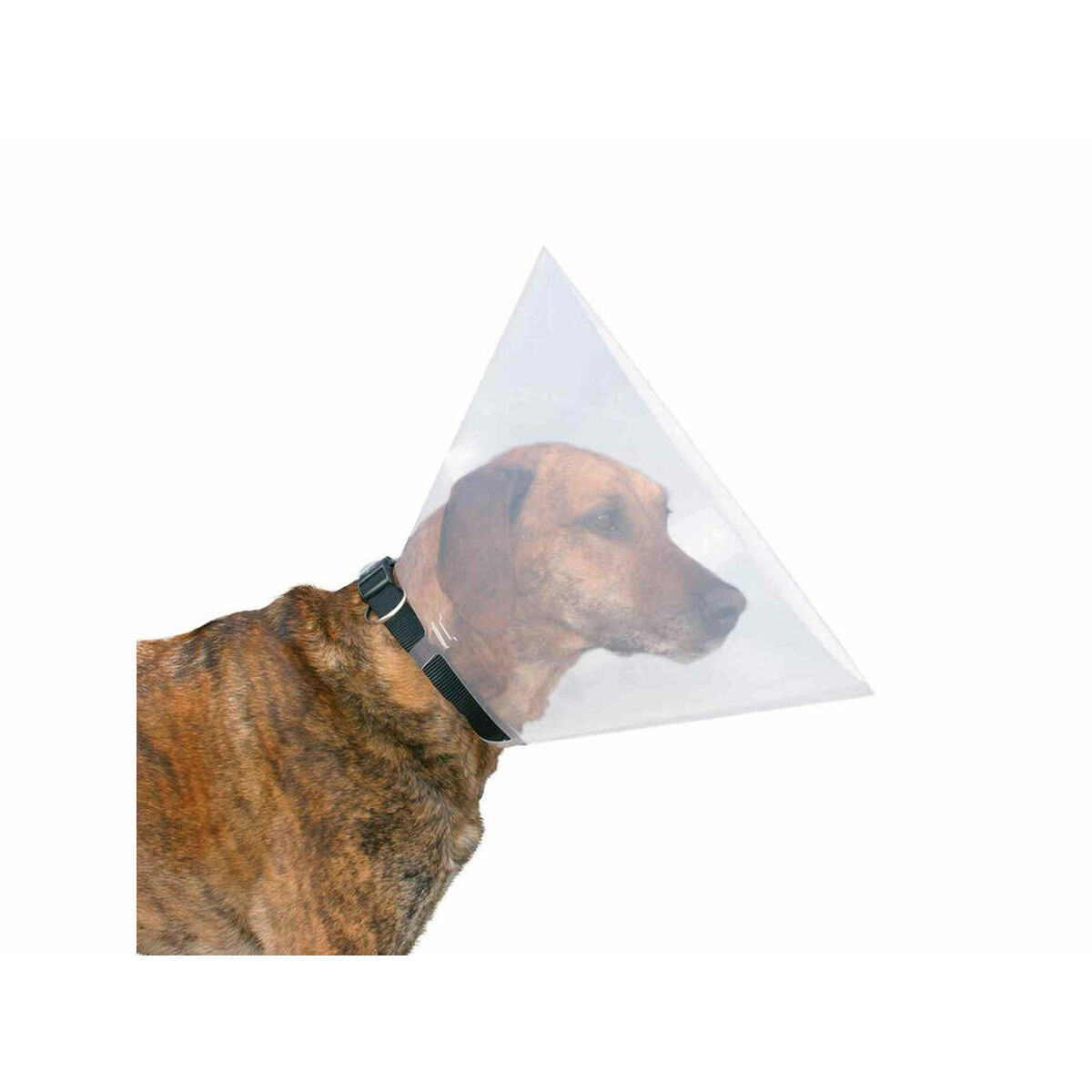 V4H0F7D5FCBEF4FD106DEB08AD04D14E048R5331673P3