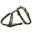 V4H3A87446EDC88C4853E5AF95033CC017CR5331012P1