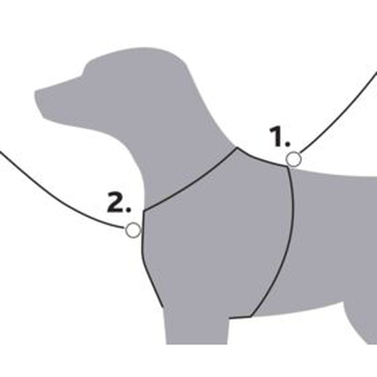 V4H6346365E55BA04289BF339220F5155C6R5329581P6